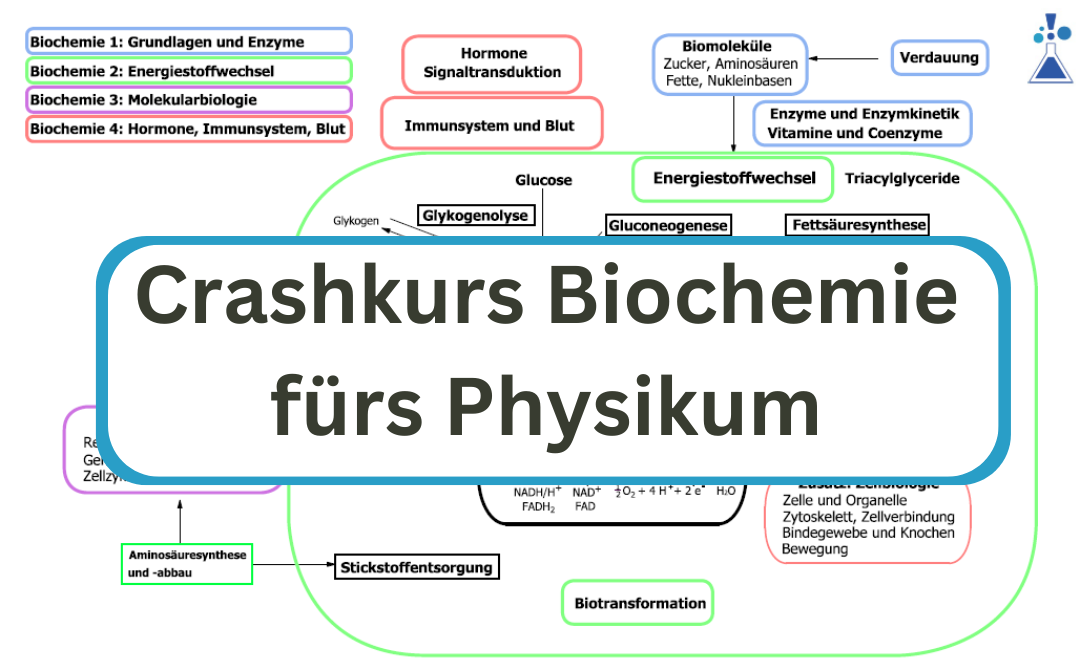 Crashkurs Biochemie im Medizinstudium – dein Überblick für die Prüfung